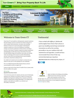Standard Website Development Package
