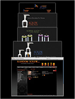 Standard Website Development Package