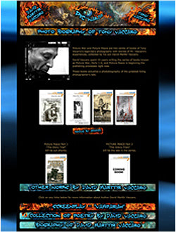 Standard Website Development Package