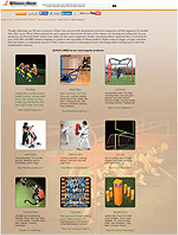 Standard Website Development Package