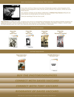 Standard Website Development Package