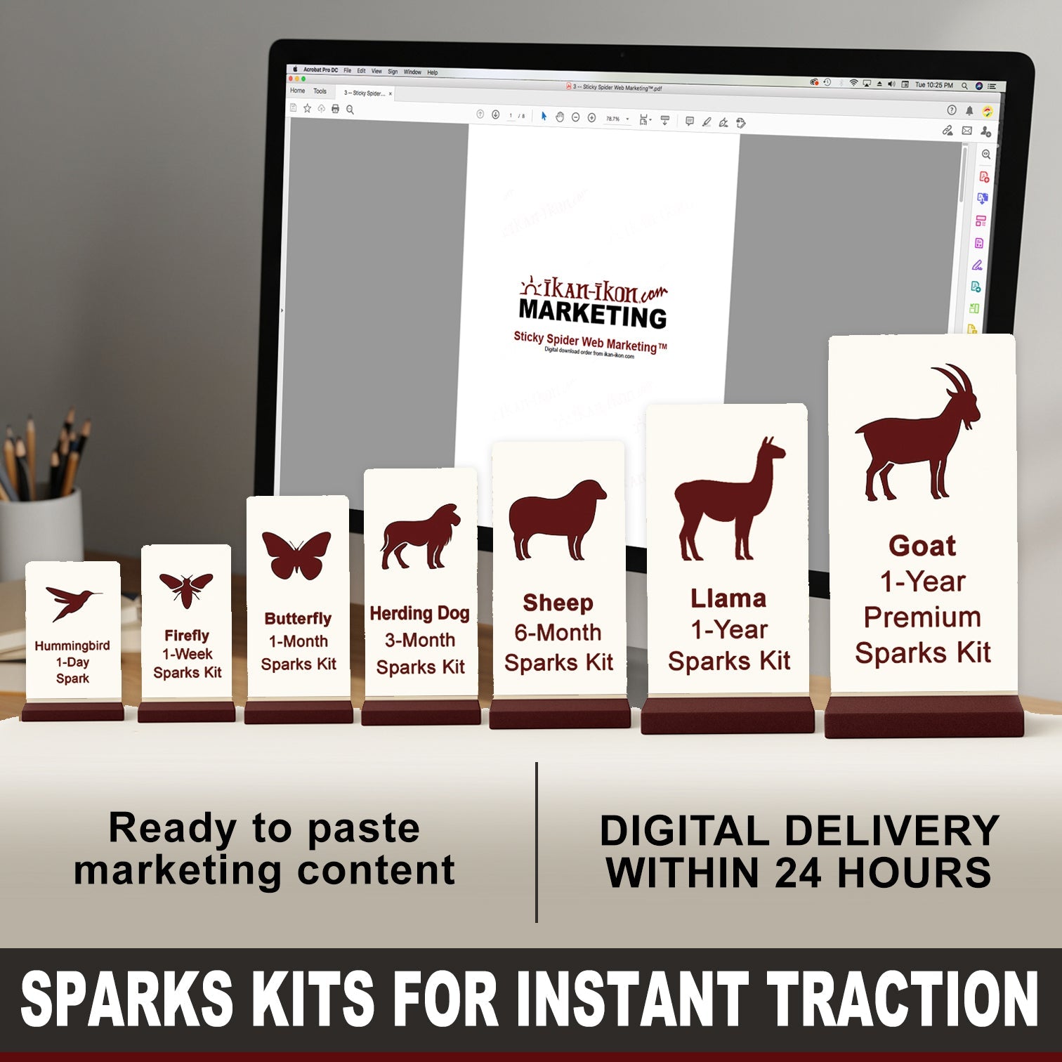 digital download of marketing training, marketing blurbs, marketing ideas, marketing strategy, and marketing strategies with instant download marketing content marketing